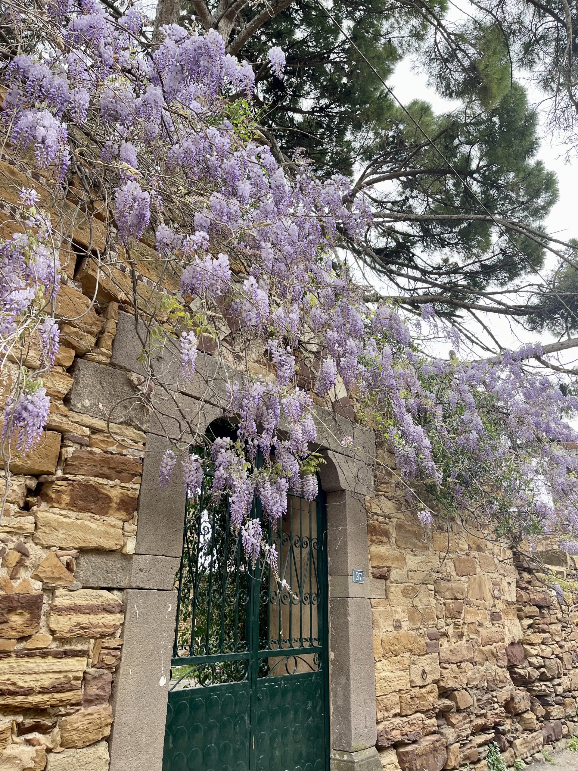 Ψυχική Ανθεκτικότητα